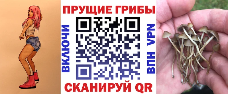 что такое наркотик  Балей  Галлюциногенные грибы Psilocybe 